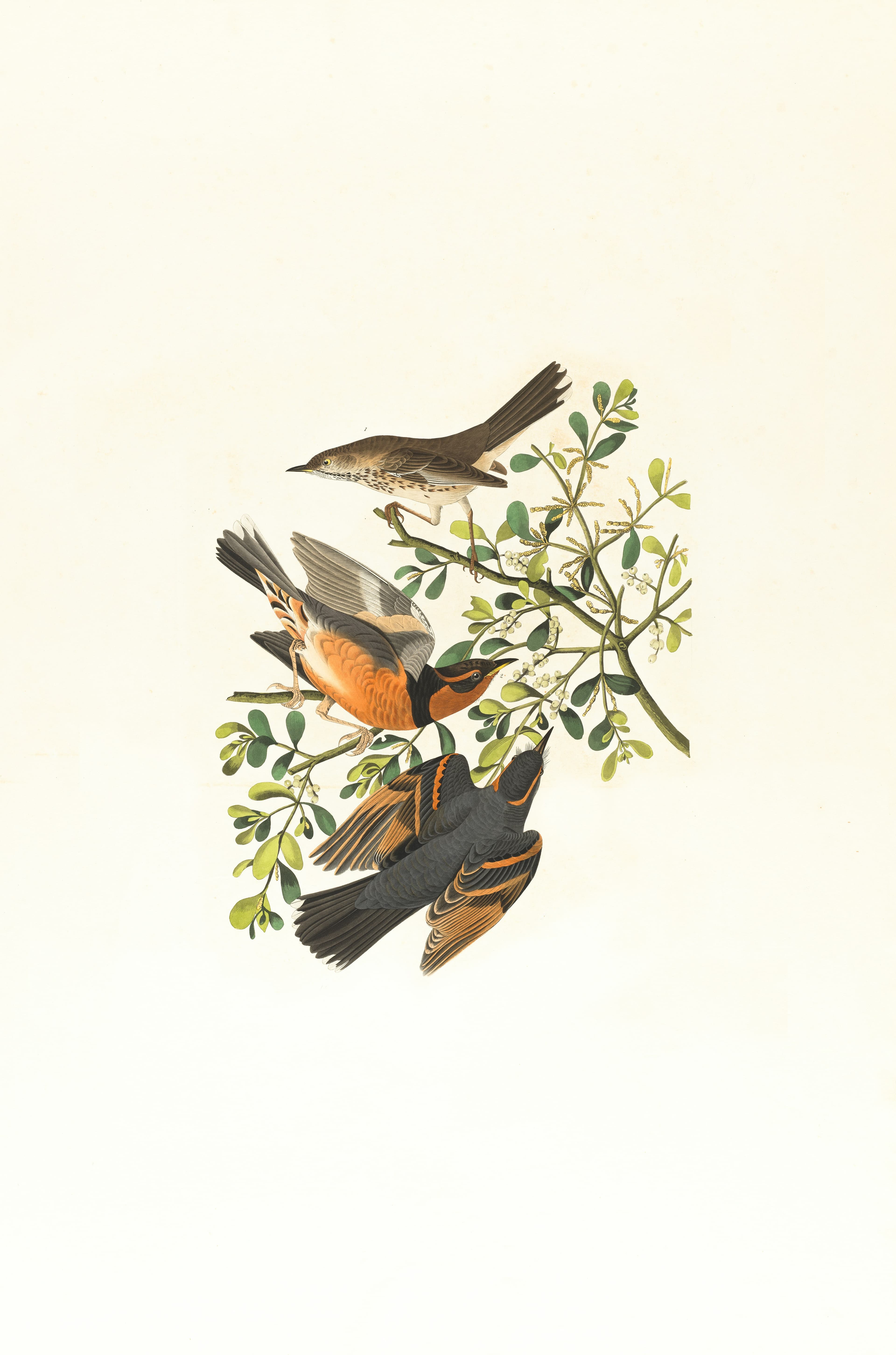 Painting of three birds eating off a tree